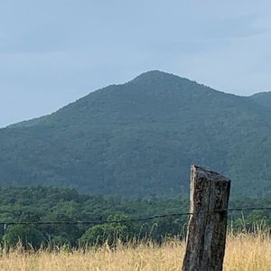 Meet your Posher, Abigail